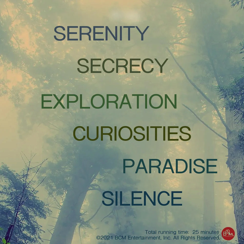 "Soundscapes" MP3 (Digital Download)